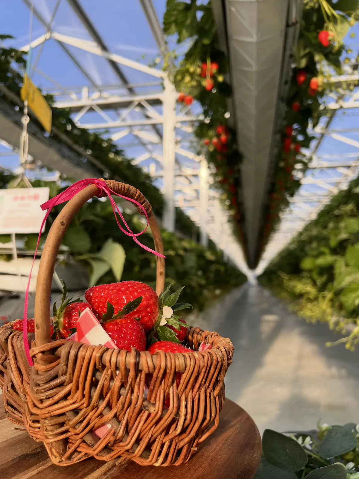 イチゴス横浜のミニバスケットにいちごが入っている